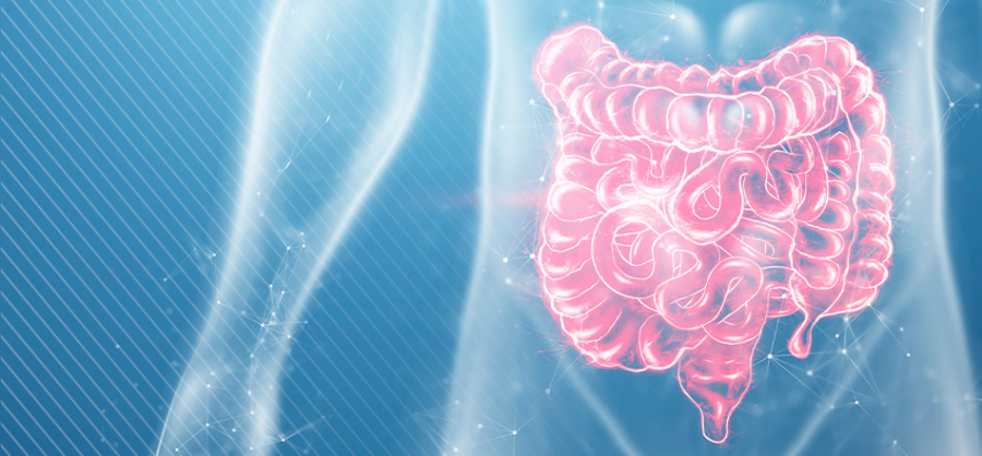 Como funciona o intestino após a cirurgia bariátrica.