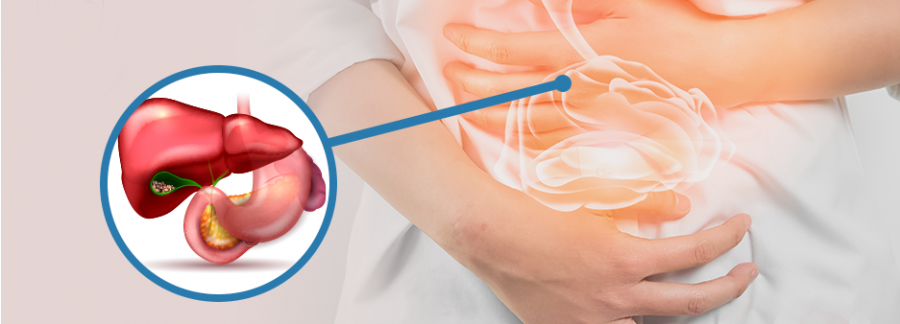 Pedra na vesícula, principais riscos, como tratar.